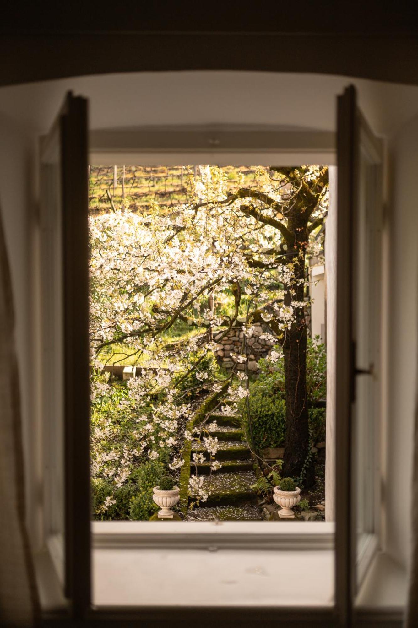 Hotel Ottmanngut Suite&breakfast